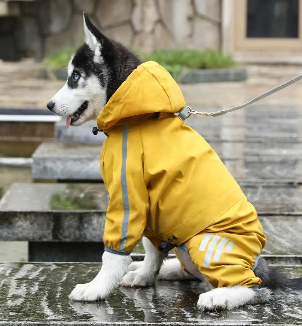 COIWE Dog Raincoat, Dog Raincoat Jacket with Hood, Leash Hole and Reflective Strips for Small Dogs (Bright Yellow Medium)